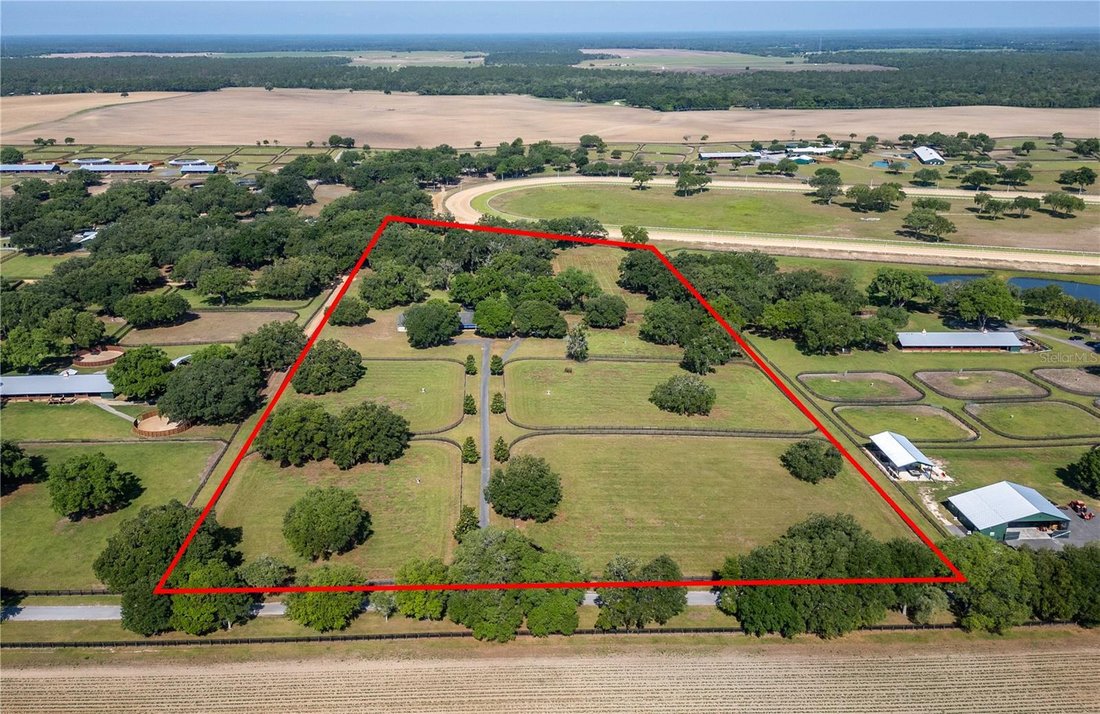 Farm Ranch in Morriston, Florida, United States 1 - 17182593