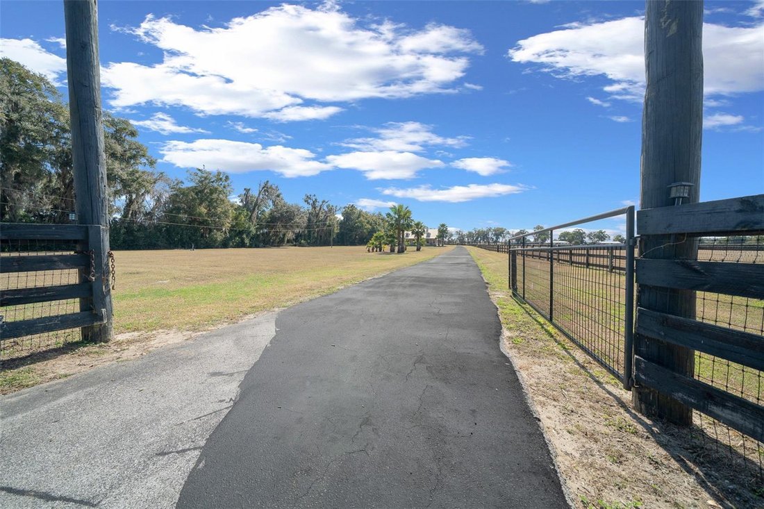 Farm Ranch in Reddick, Florida, United States 3 - 17181723