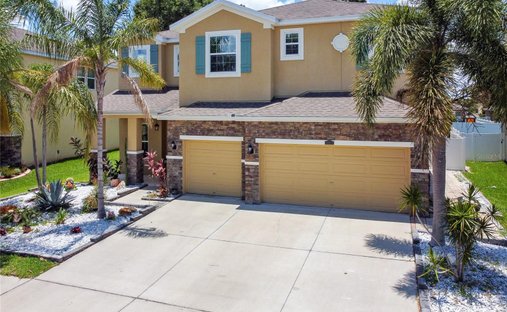 House in Riverview, Florida, United States 1