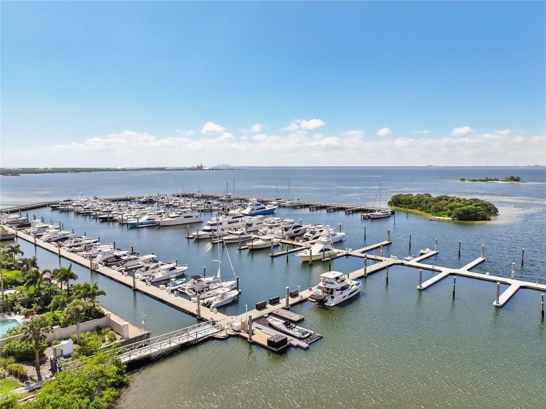 Condo in Tampa, Florida, United States 4 - 17184253