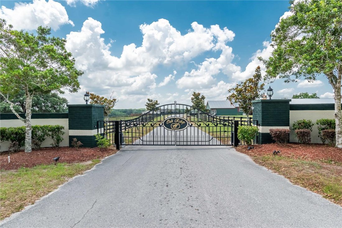 Farm Ranch in Morriston, Florida, United States 2 - 17182593