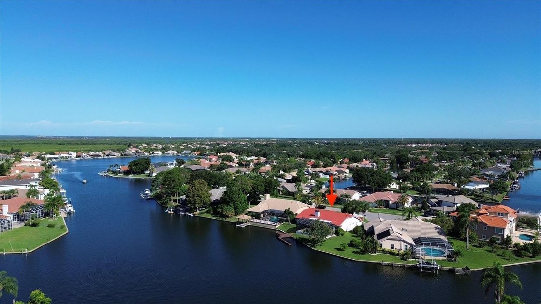 House in Tampa, Florida, United States 5 - 17183932