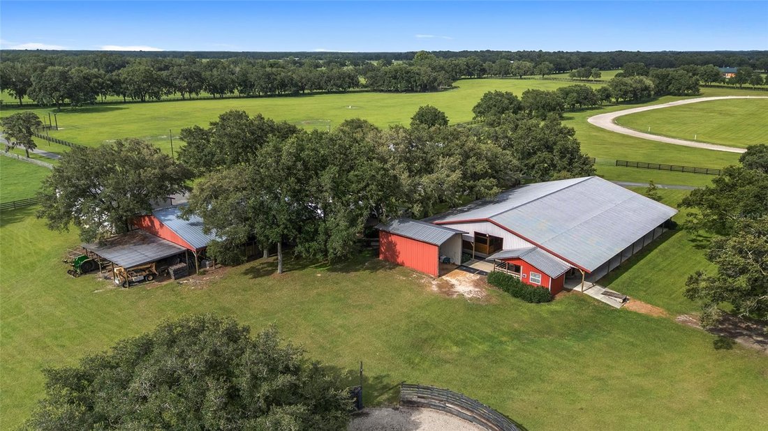 Farm Ranch in Morriston, Florida, United States 2 - 17182846