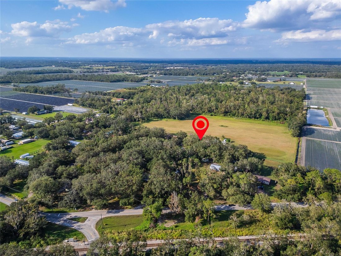 Farm Ranch in Plant City, Florida, United States 3 - 17185386