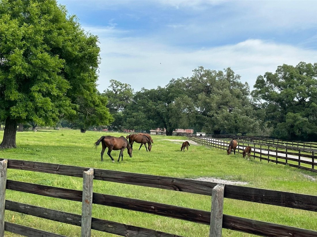 Land in Ocala, Florida, United States 5 - 17182469