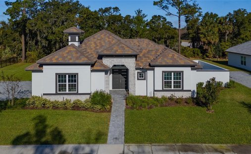 House in Palm Coast, Florida, United States 1