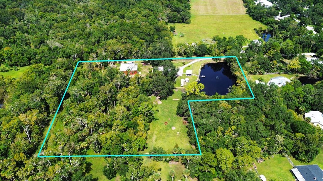 Farm Ranch in New Smyrna Beach, Florida, United States 4 - 17183402