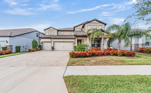 House in Valrico, Florida, United States 1