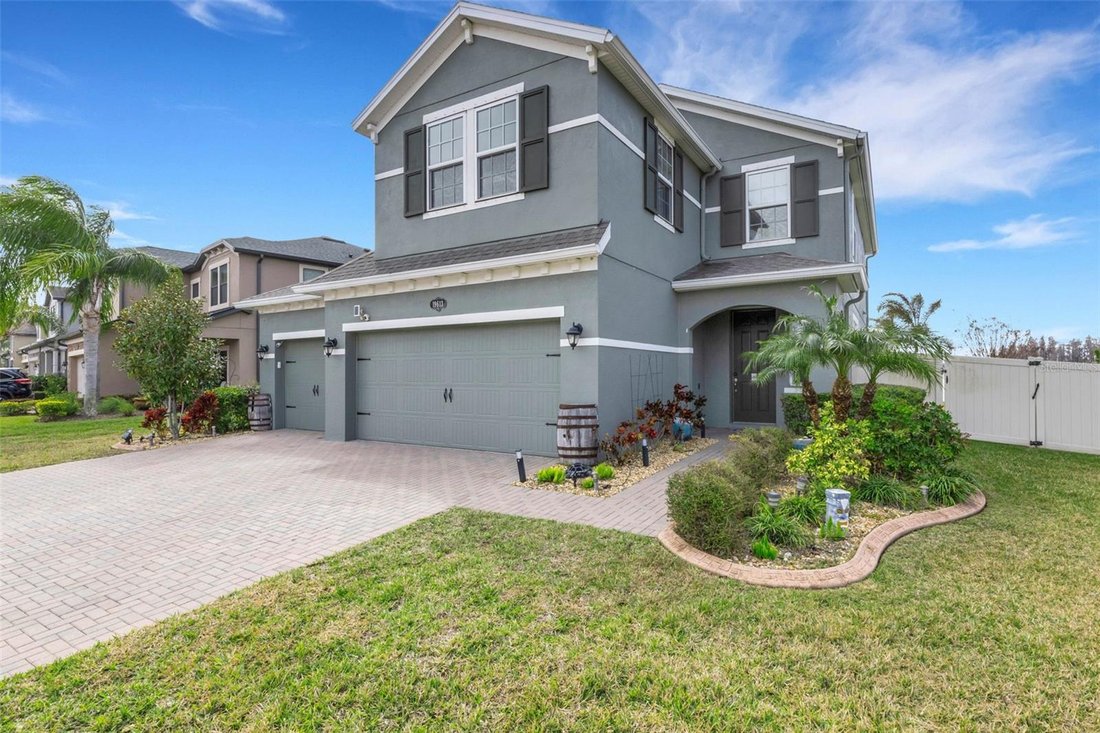 House in Land O' Lakes, Florida, United States 1 - 17185438