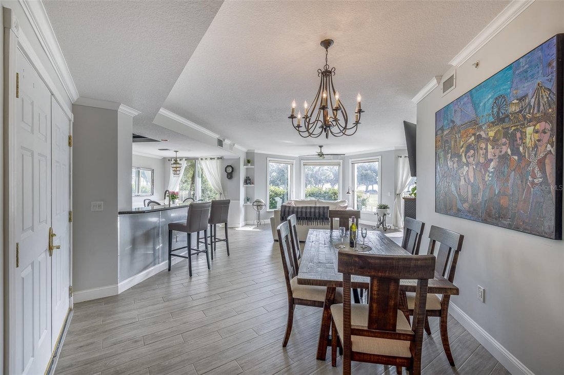 Condo in St. Petersburg, Florida, United States 4 - 17186990