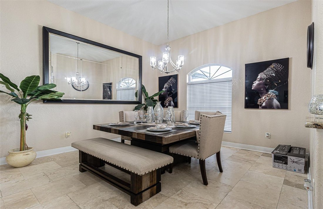 House in Dover, Florida, United States 3 - 17184522