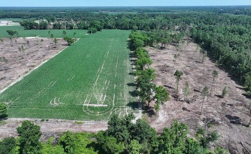 Land in Red Springs, North Carolina, United States 1