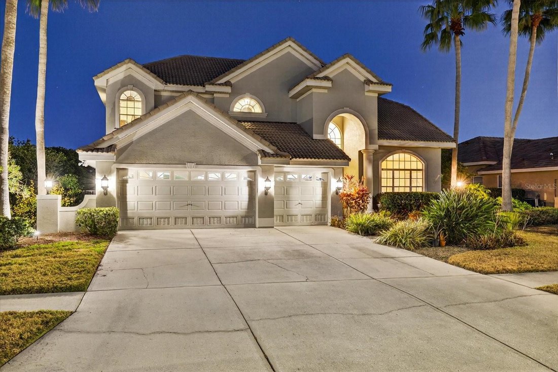 House in Tampa, Florida, United States 1 - 17190382