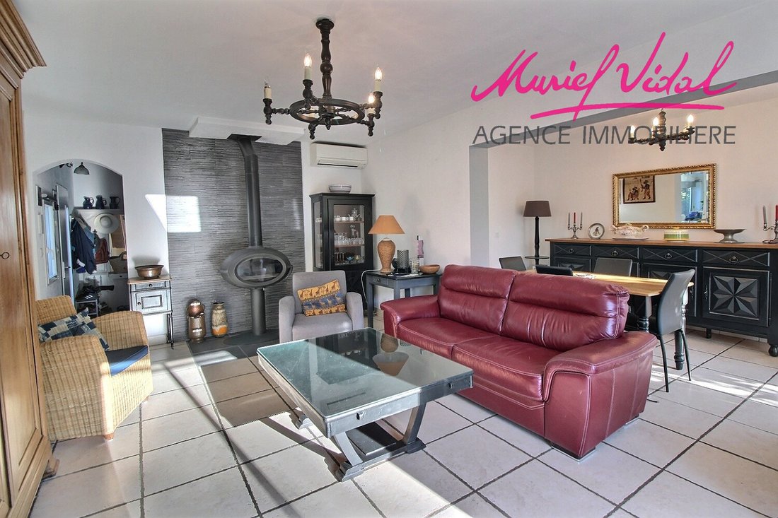 Villa in Zone Plage, Saint-Cyprien, France 3 - 17192958