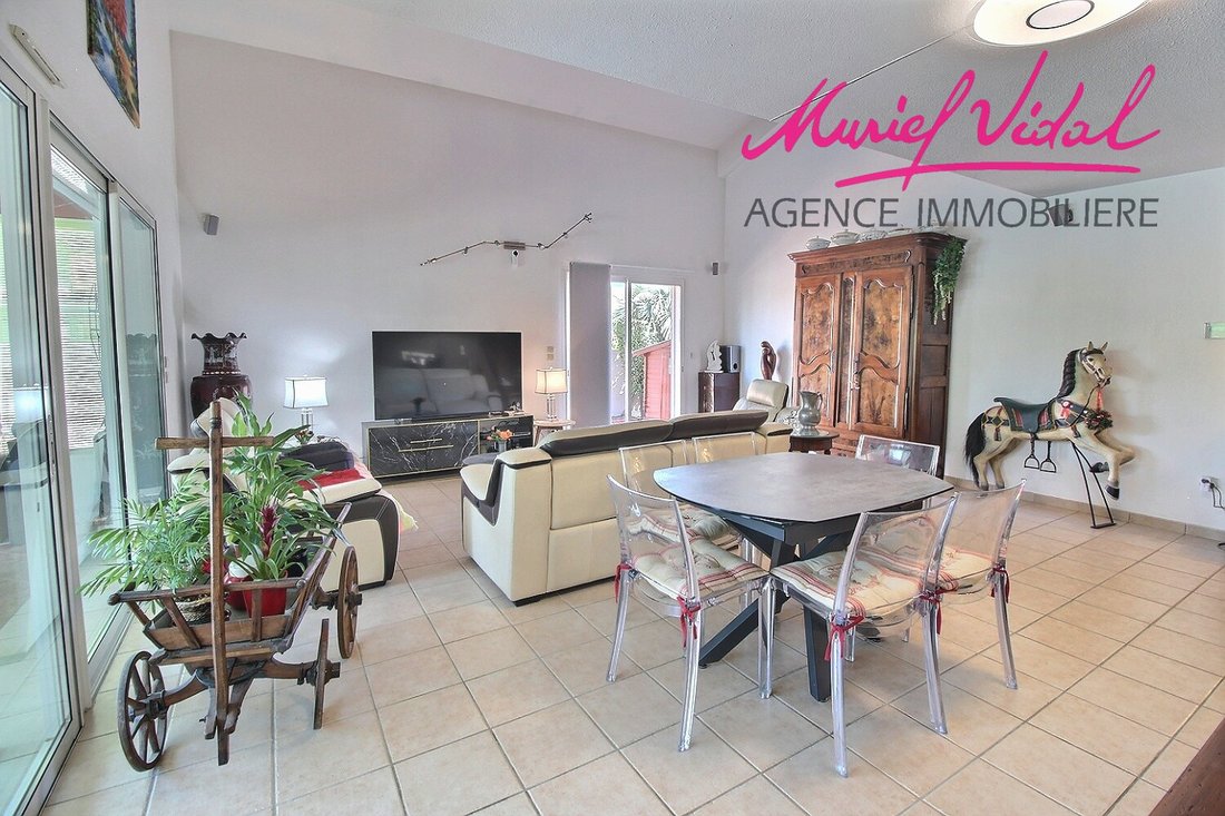Villa in Zone Plage, Saint-Cyprien, France 3 - 17192885