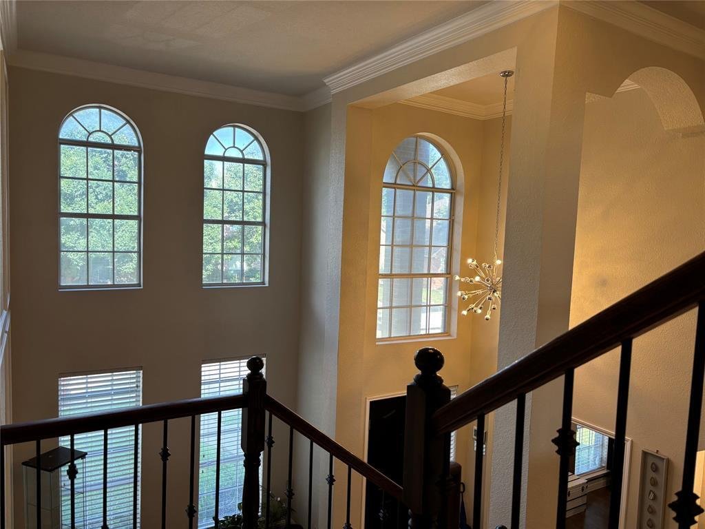 House in McKinney, Texas, United States 4 - 17191696