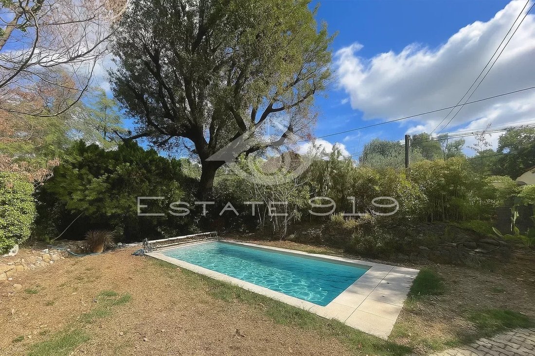 Villa in Sud, Roquefort-les-Pins, France 2 - 16333186