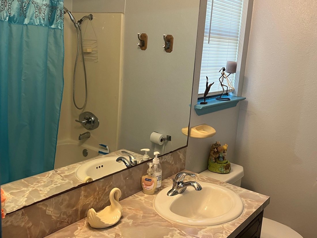 House in Hutto, Texas, United States 5 - 17189502