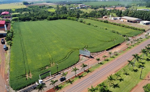 Land in Santa Rita, Alto Paraná Department, Paraguay 1