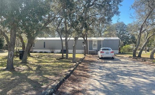 Maison à Mulberry, Floride, États-Unis 1