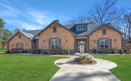 House in Palestine, Texas, United States 1