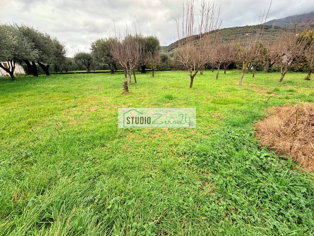 Villa in Strettoia-Capezzano-Valdicastello, Pietrasanta, Tuscany 3 - 17216897