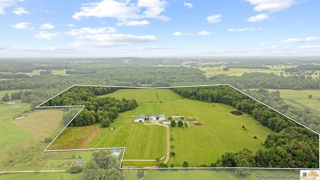 Farm Ranch in Center, Kentucky, United States 1 - 17211188