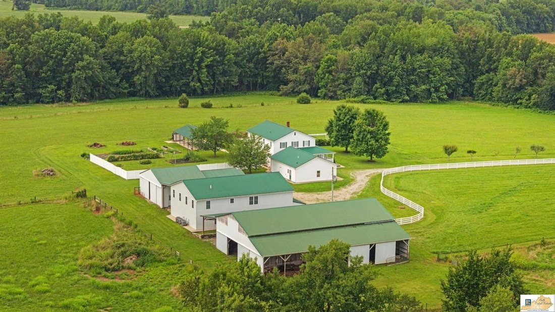 Farm Ranch in Center, Kentucky, United States 4 - 17211188
