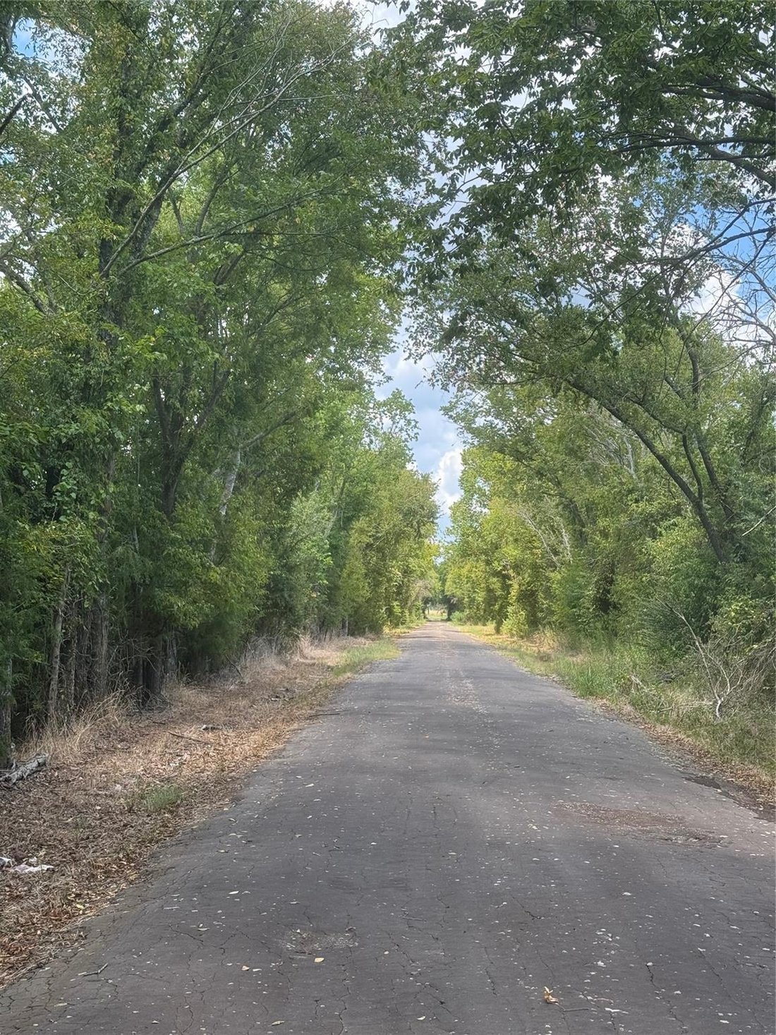 House in Mexia, Texas, United States 4 - 17207469