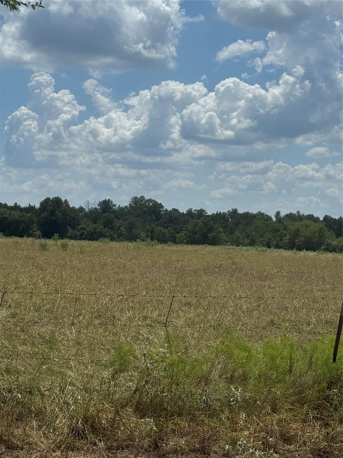 House in Mexia, Texas, United States 5 - 17207469