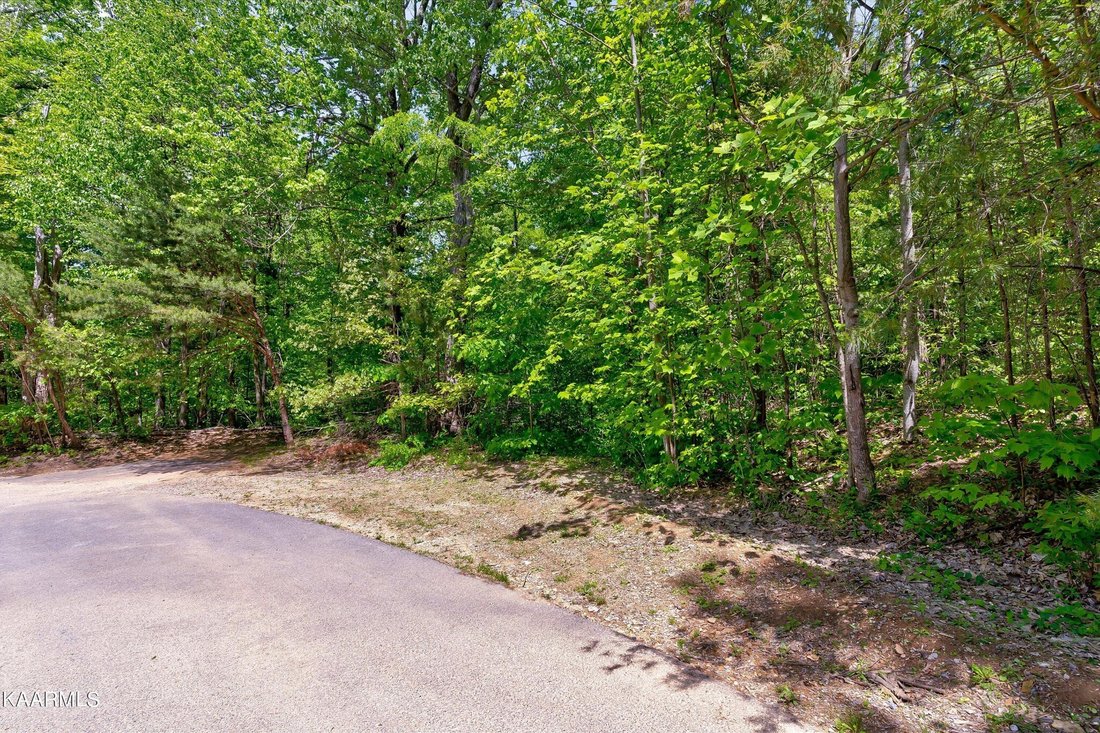 House in Sevierville, Tennessee, United States 4 - 17199644