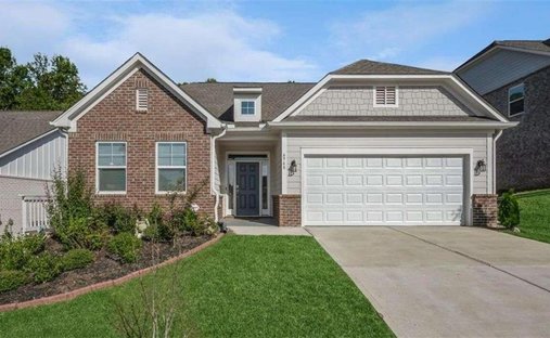 Maison à Flowery Branch, Géorgie, États-Unis 1