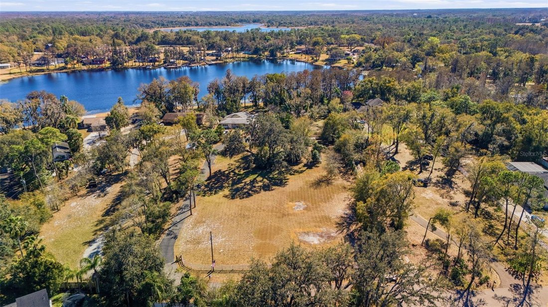 House in ODESSA, FL, United States 3 - 17210788