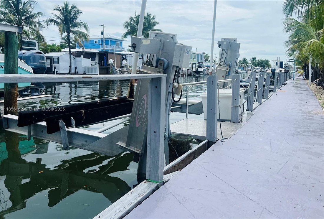Key Largo, Florida, United States 5 - 17205370
