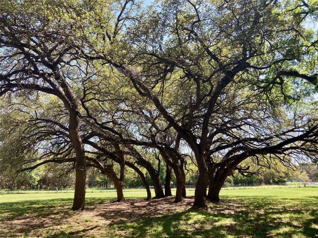 House in Clifton, Texas, United States 4 - 17216444