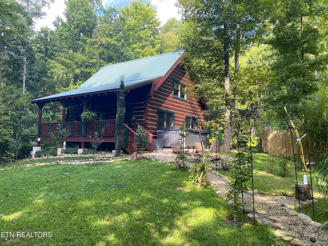 House in Del Rio, Tennessee, United States 1 - 17199822