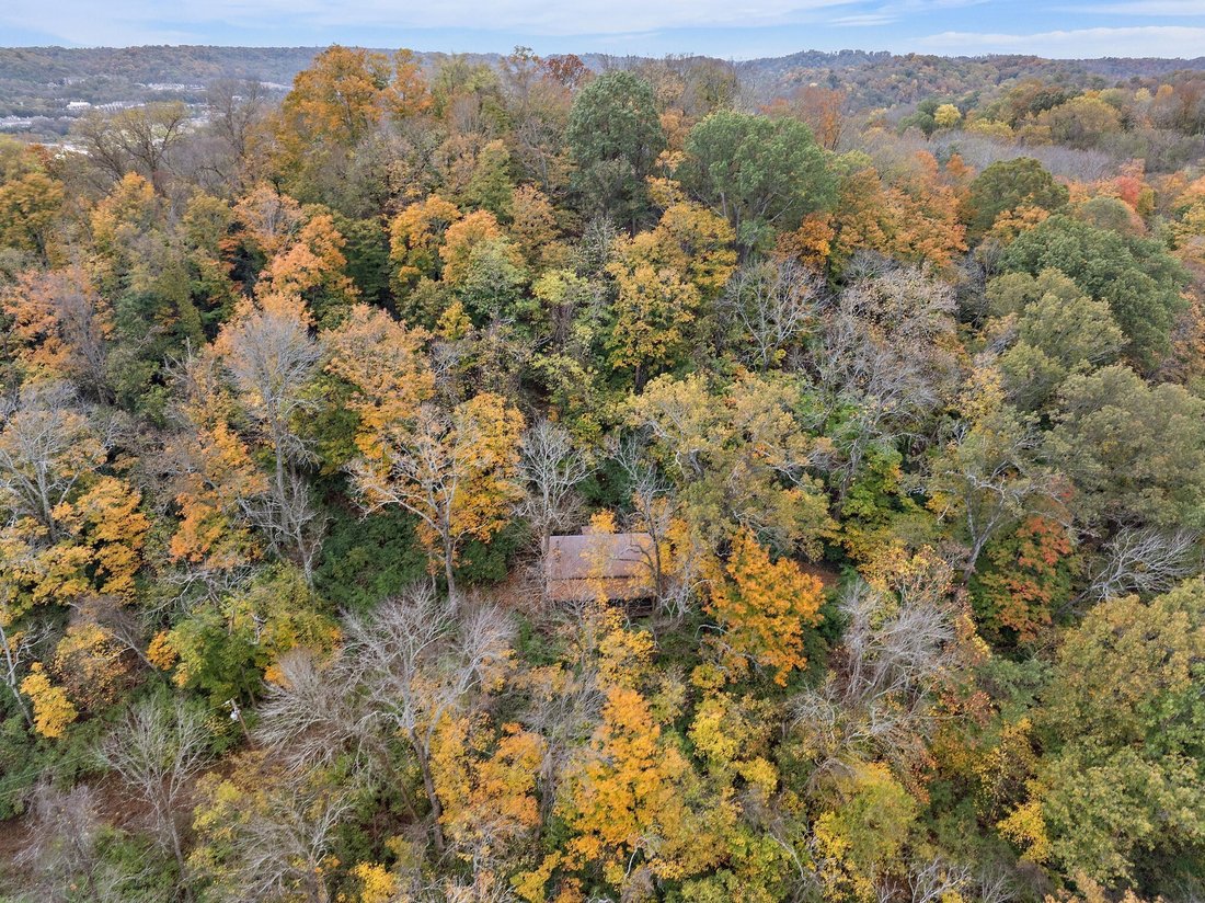 House in Nashville, Tennessee, United States 3 - 17201646