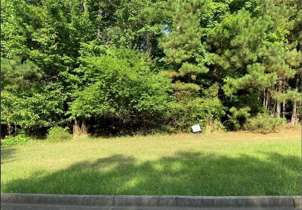 House in Conyers, Georgia, United States 1 - 17195055