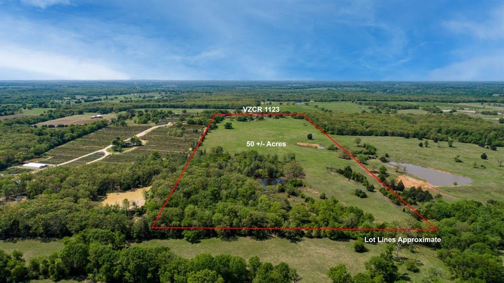 House in Fruitvale, Texas, United States 4 - 17211622