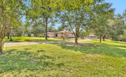 House in Navasota, Texas, United States 1