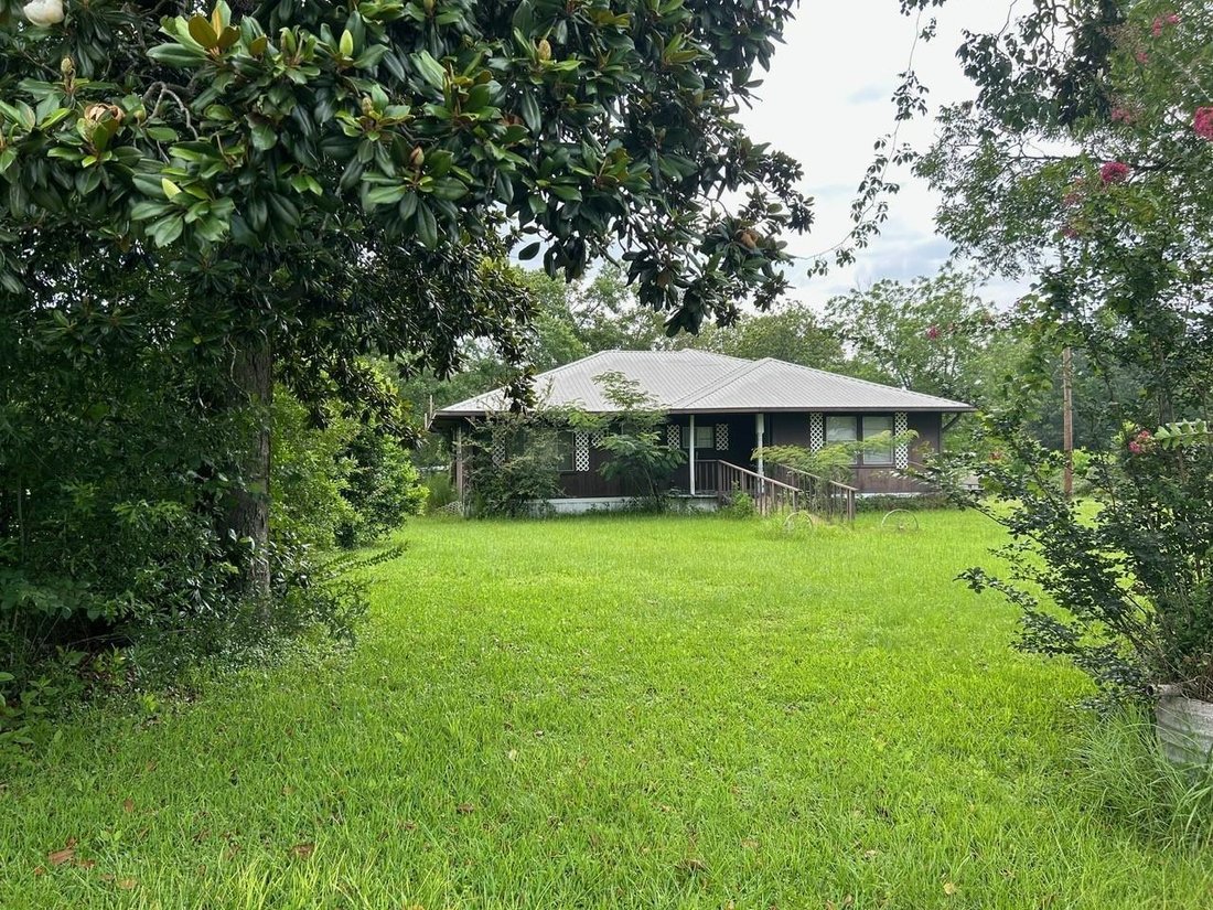 House in New Caney, Texas, United States 5 - 17211183