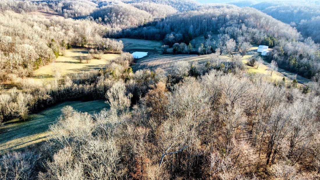 House in Lynnville, Tennessee, United States 1 - 17200082