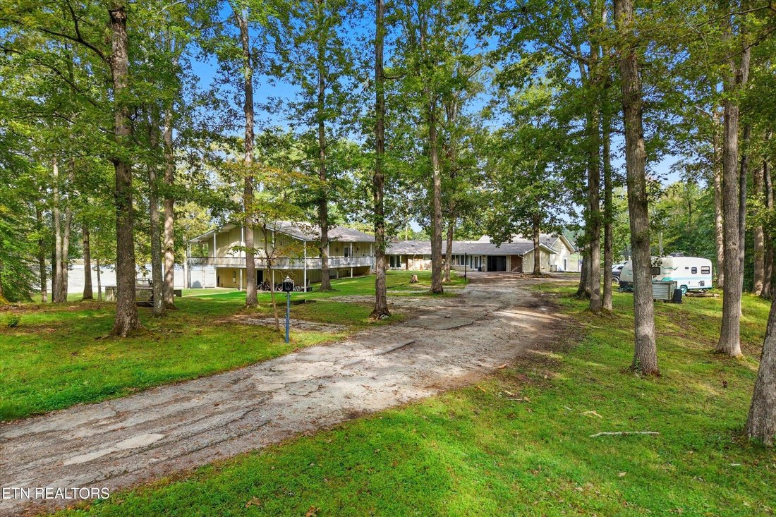 Oneida, Tennessee, United States 1 - 17199489