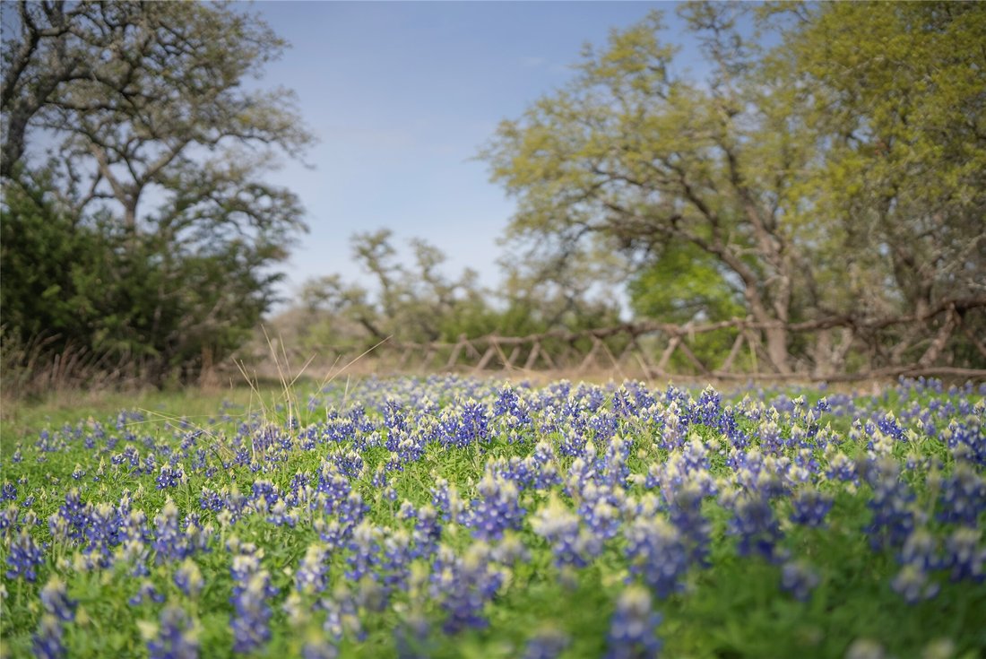 Land in Dripping Springs, Texas, United States 3 - 17210791
