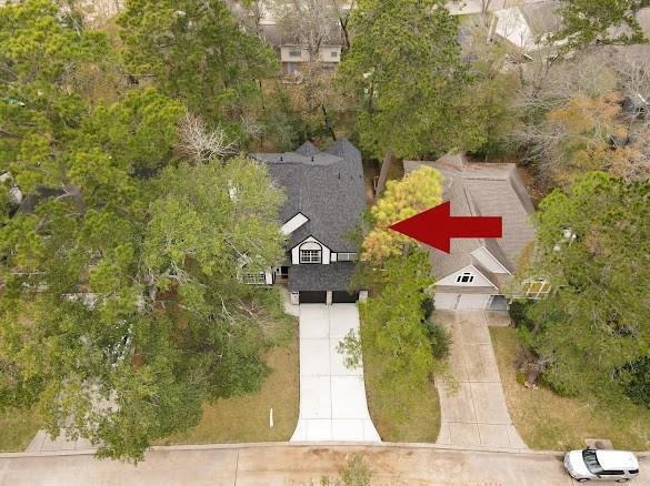 House in The Woodlands, Texas, United States 5 - 17206907