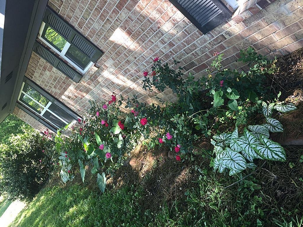 House in Montgomery, Texas, United States 3 - 17209919