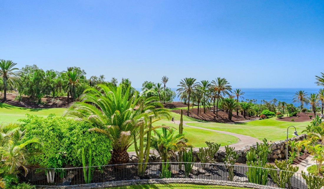 Apartment in Guia de Isora, Canary Islands, Spain 2 - 17220642