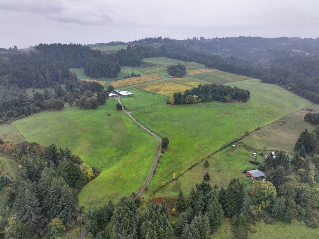 House in Amity, Oregon, United States 1 - 17222309