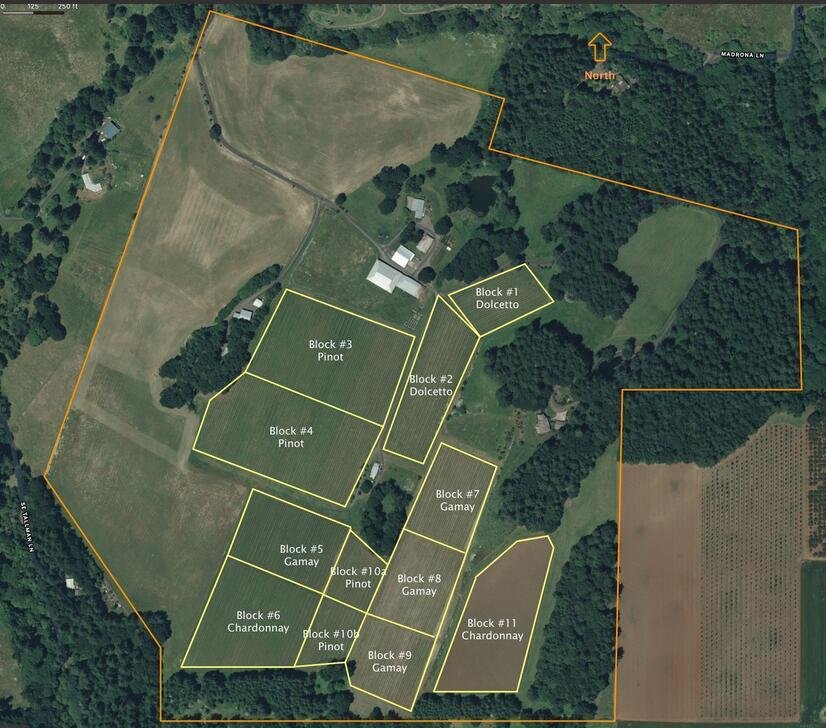 House in Amity, Oregon, United States 2 - 17222309