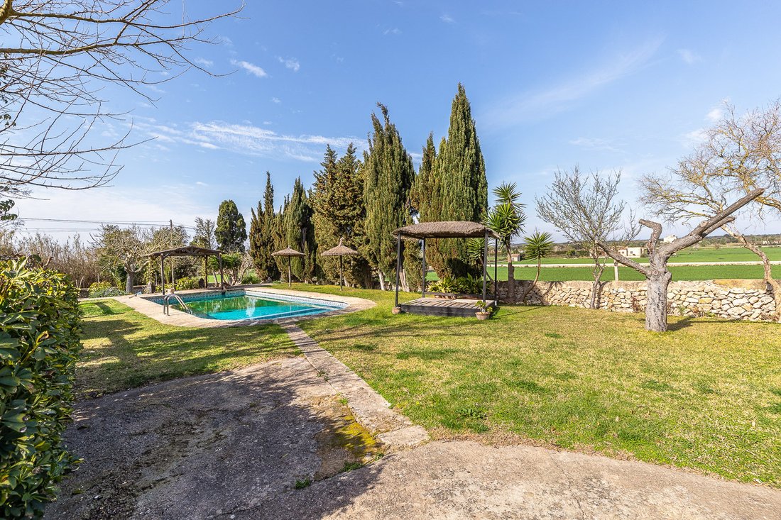 Finca in Felanitx, Balearic Islands, Spain 4 - 17219457